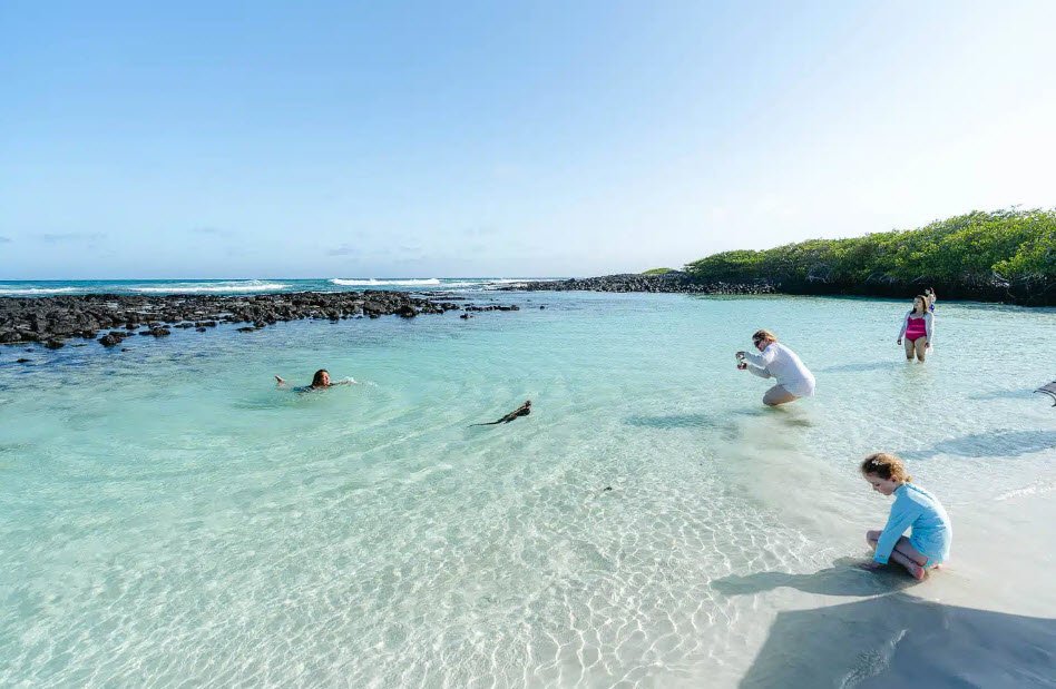 Tortuga Bay